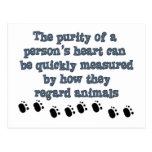 Regard Animals Postcard