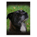 Regular Dog ~ ATC business cards