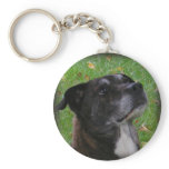 Regular Dog ~ keychain