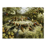 "Rehearsal in Fairyland" by Doyle - Postcard