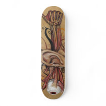 REIGN Skateboard