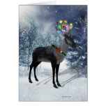 Reindeer and lights Card