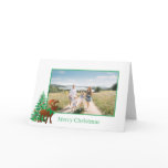 Reindeer - cards