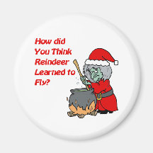 reindeer fly fridge magnet