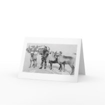 Reindeer Herd Alaska 1909 Greeting Card
