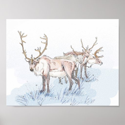 Reindeer Posters, Reindeer Prints - Zazzle UK