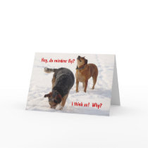 Reindeer Tracking Cattle Dogs - Christmas Holidays Card