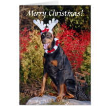 Reindobe Christmas Greeting Card