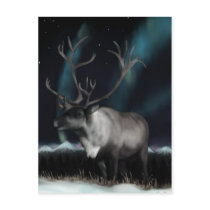 Reinedeer of the Northern Lights Postcard