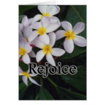 Rejoice Psalm 20-4 Cards
