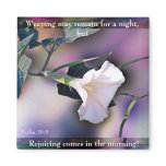 Rejoicing in the Morning magnet