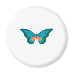 relalistic turquoise butterfly magnets