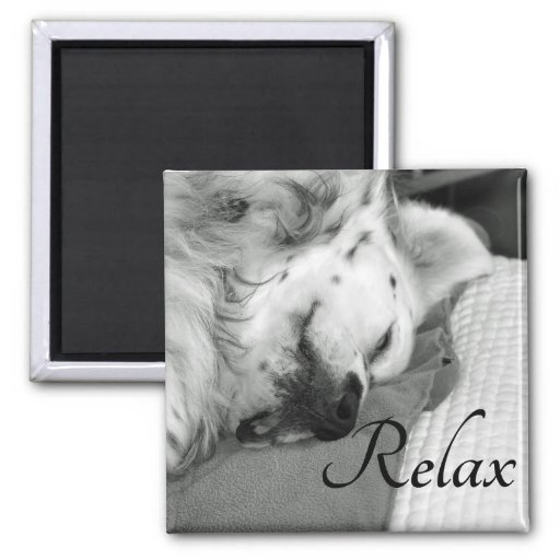 - relax_cute_dog_sleeping_square_magnet-r39a326017e20452499ad81d2d1e01196_x7j3u_8byvr_512