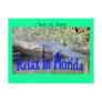 Relax in Florida Postcards