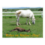 Relax on Mother's Day! Post Cards