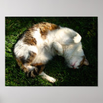 Relax Posters