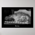 Relax. posters