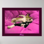 Relax Posters