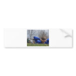 Relaxed bumper stickers