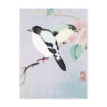 Relaxing Birds ~ Postcards