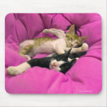Relaxing cats on pink pillow mousepads