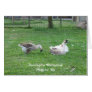 Relaxing Ducks Greeting Card