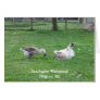 Relaxing Ducks Note Card
