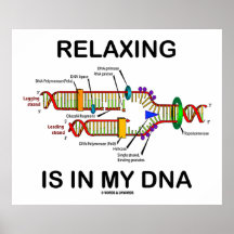 Relaxing Is In My DNA (DNA Replication) Posters