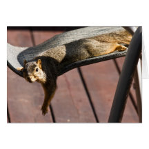 Relaxing Rodent Card