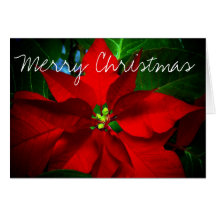 Religious Christmas Card