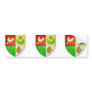 Relizane, Algeria Bumper Sticker