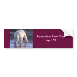 Remember Earth Day / April 22 bumper stickers