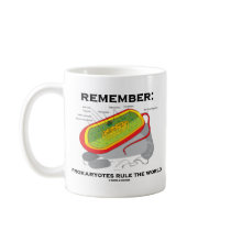Remember: Prokaryotes Rule The World Mugs