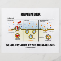 Remember We All Eat Alike At The Cellular Level Flyer Design