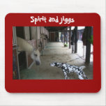 Remembering Spirit and Jiggs Meeting mousepads