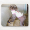 Remi on steps - Customised mousepads
