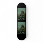 Remington's Old Stagecoach of the Plains (1901) skateboards