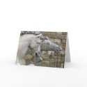 Renaissance Equestrian Statue Blank Note Card