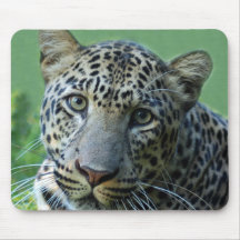 reno10x10 mousepad