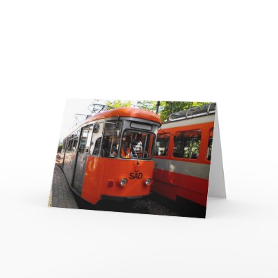 Renon Historical Railway Greeting Cards by ANGELHELEN