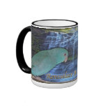 Rensselaer Bird Center Coffee Mugs