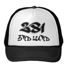Rep 3rd Ward (281) Mesh Hat