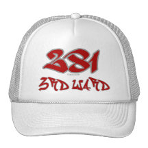 Rep 3rd Ward (281) Mesh Hat