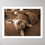 Repose in Twill posters