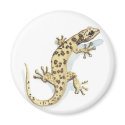 Reptile magnet