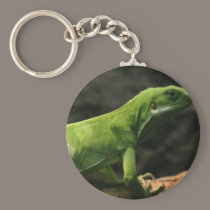 reptile merchandise keychains