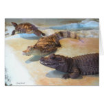 Reptiles Greeting Cards