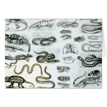 Reptiles, Serpents and Lizards Card