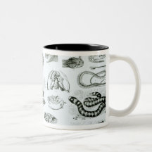 Reptiles, Serpents and Lizards Coffee Mugs