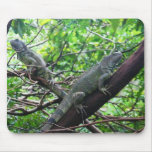 Reptilian Repose Mouse Mats